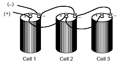 Parallel Cell
