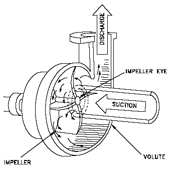Centrifugal Pump Section View